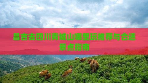 昌吉去四川青城山哪里玩推荐与合适景点指南