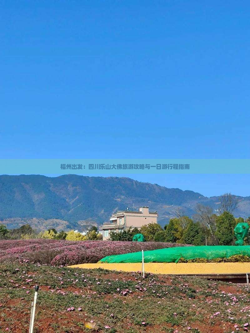 福州出发：四川乐山大佛旅游攻略与一日游行程指南