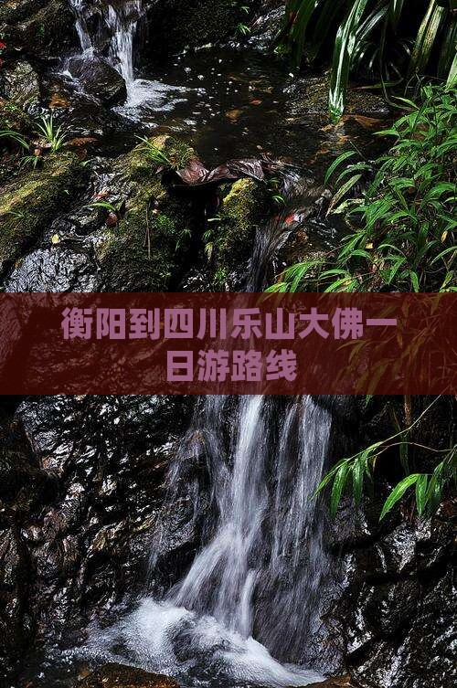 衡阳到四川乐山大佛一日游路线
