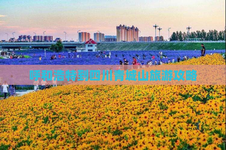 呼和浩特到四川青城山旅游攻略