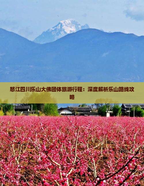 怒江四川乐山大佛团体旅游行程：深度解析乐山路线攻略