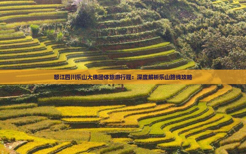 怒江四川乐山大佛团体旅游行程：深度解析乐山路线攻略