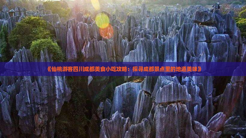 《仙桃游客四川成都美食小吃攻略：探寻成都景点里的地道美味》