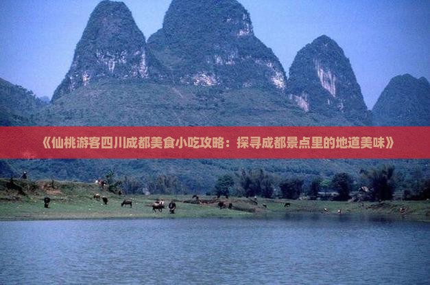 《仙桃游客四川成都美食小吃攻略：探寻成都景点里的地道美味》