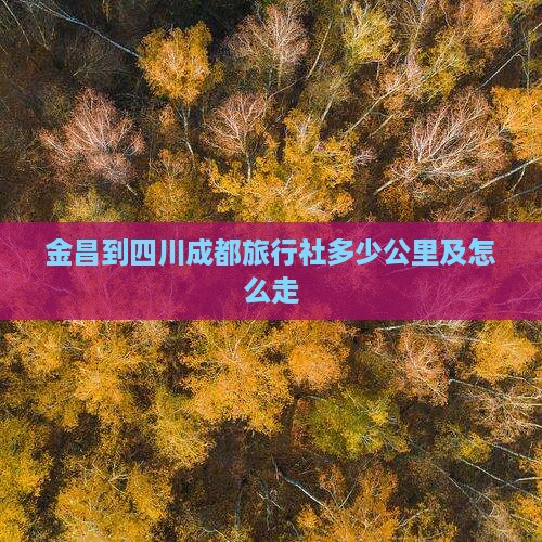 金昌到四川成都旅行社多少公里及怎么走