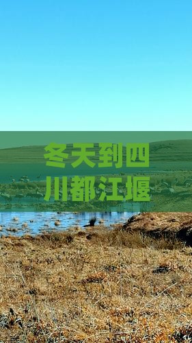冬天到四川都江堰旅游必尝的小吃推荐