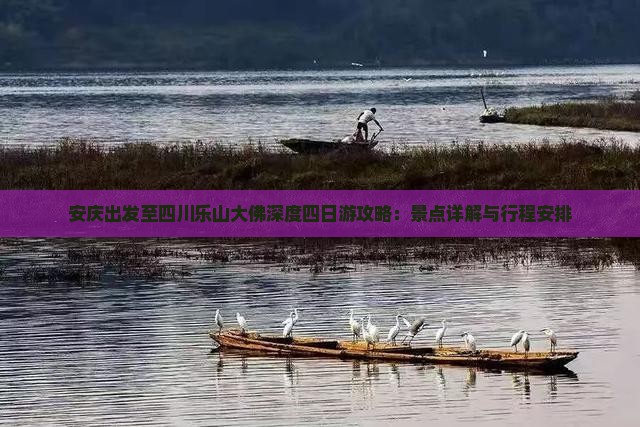 安庆出发至四川乐山大佛深度四日游攻略：景点详解与行程安排