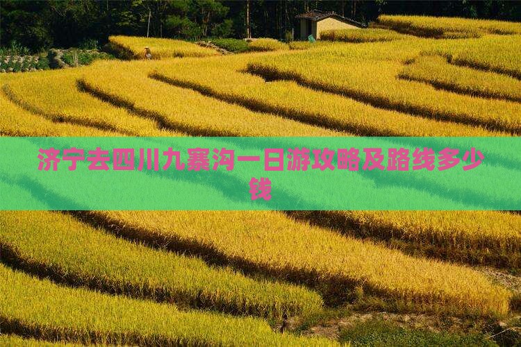济宁去四川九寨沟一日游攻略及路线多少钱