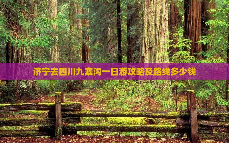 济宁去四川九寨沟一日游攻略及路线多少钱