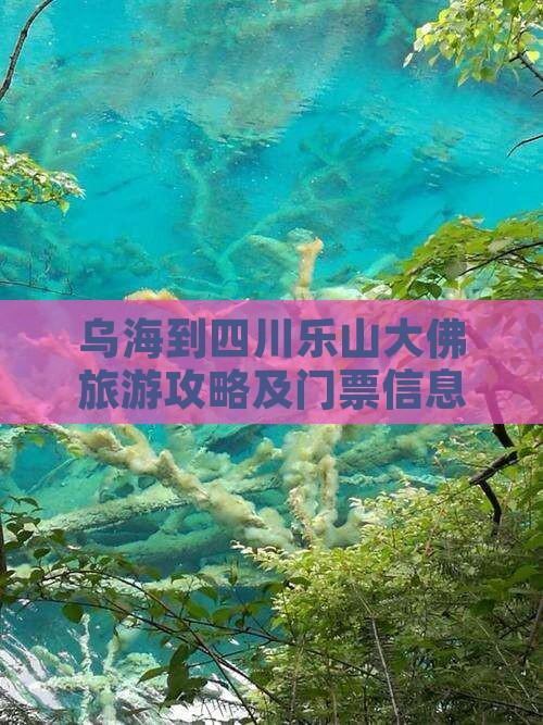 乌海到四川乐山大佛旅游攻略及门票信息