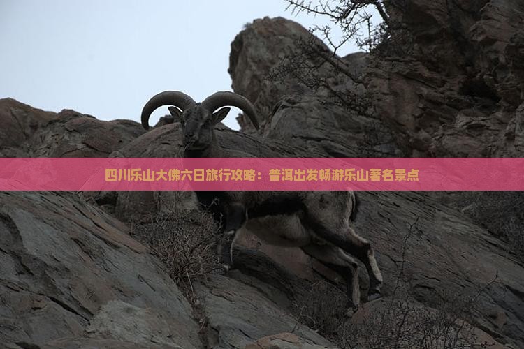 四川乐山大佛六日旅行攻略：普洱出发畅游乐山著名景点