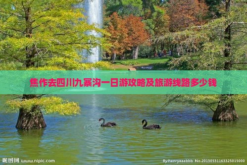 焦作去四川九寨沟一日游攻略及旅游线路多少钱