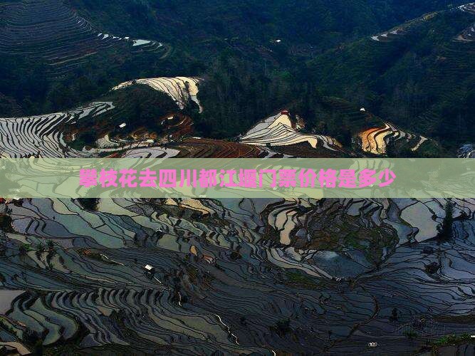 攀枝花去四川都江堰门票价格是多少