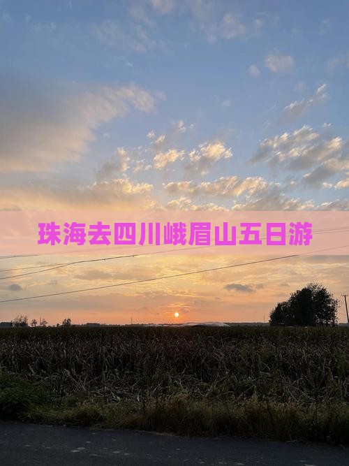珠海去四川峨眉山五日游