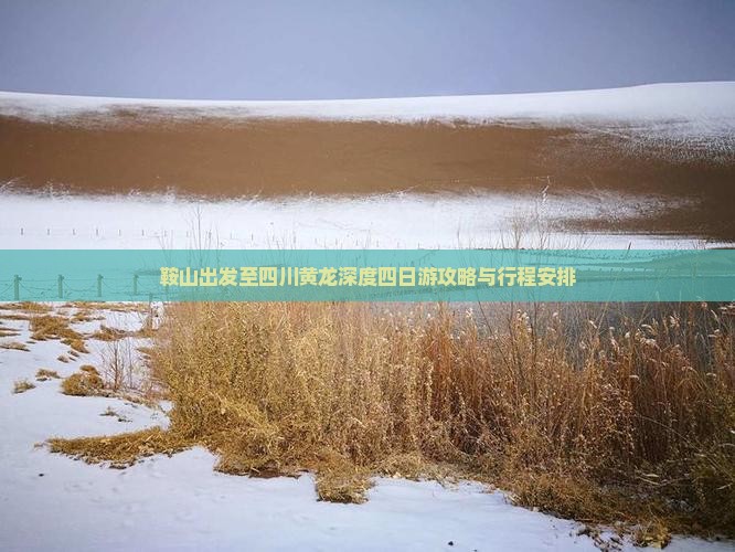 鞍山出发至四川黄龙深度四日游攻略与行程安排
