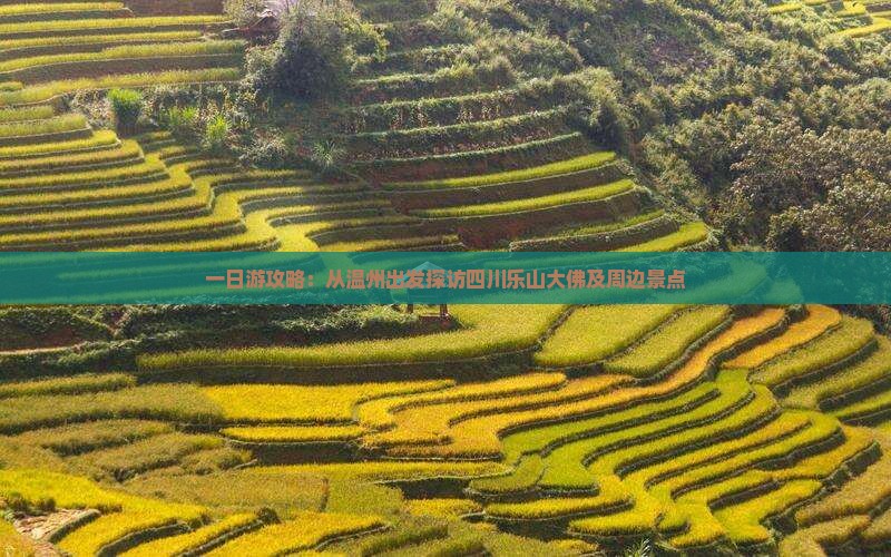 一日游攻略：从温州出发探访四川乐山大佛及周边景点