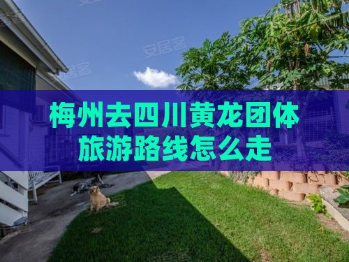 梅州去四川黄龙团体旅游路线怎么走