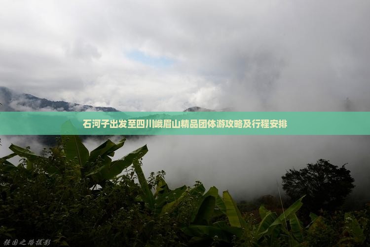 石河子出发至四川峨眉山精品团体游攻略及行程安排