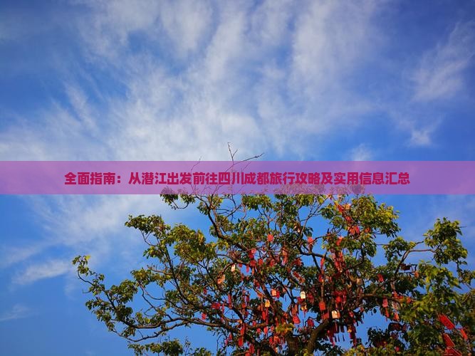全面指南：从潜江出发前往四川成都旅行攻略及实用信息汇总