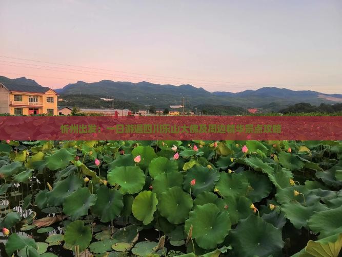 忻州出发：一日游遍四川乐山大佛及周边精华景点攻略