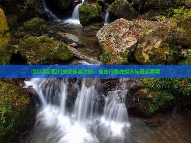 哈尔滨到四川成都旅游攻略：自由行路线指南与景点看看