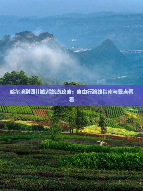哈尔滨到四川成都旅游攻略：自由行路线指南与景点看看