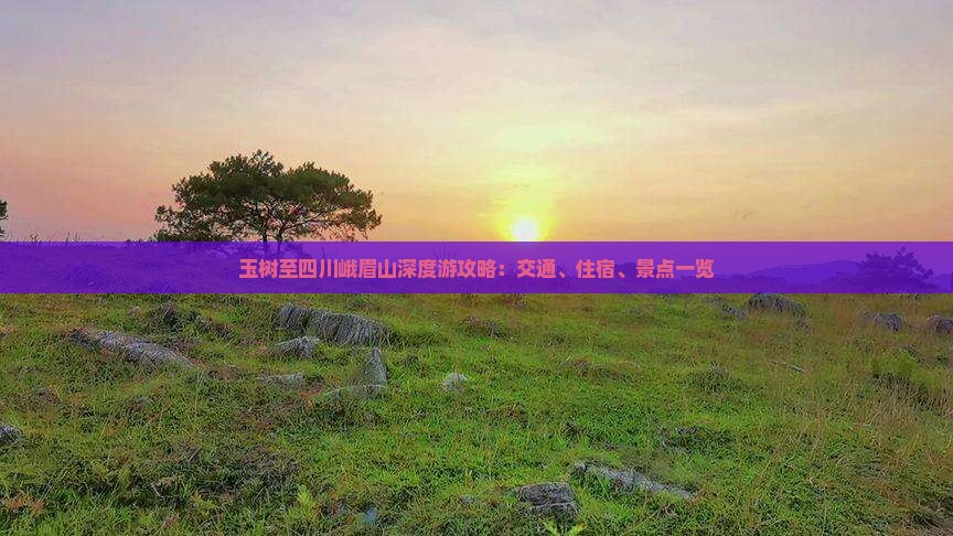 玉树至四川峨眉山深度游攻略：交通、住宿、景点一览