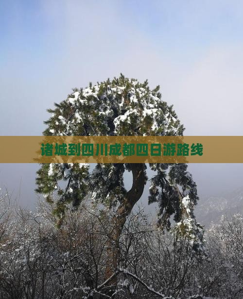 诸城到四川成都四日游路线