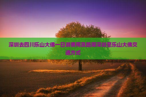深圳去四川乐山大佛一日游费用及路犀深圳至乐山大佛交通方式