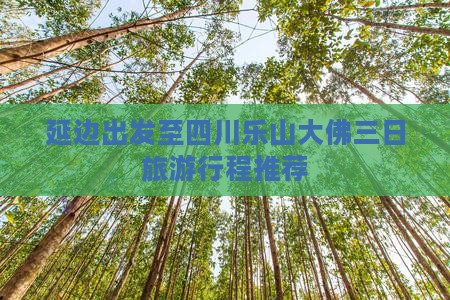 延边出发至四川乐山大佛三日旅游行程推荐