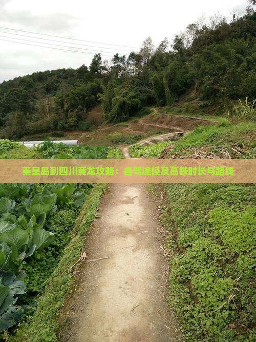 秦皇岛到四川黄龙攻略：自驾途径及高铁时长与路线