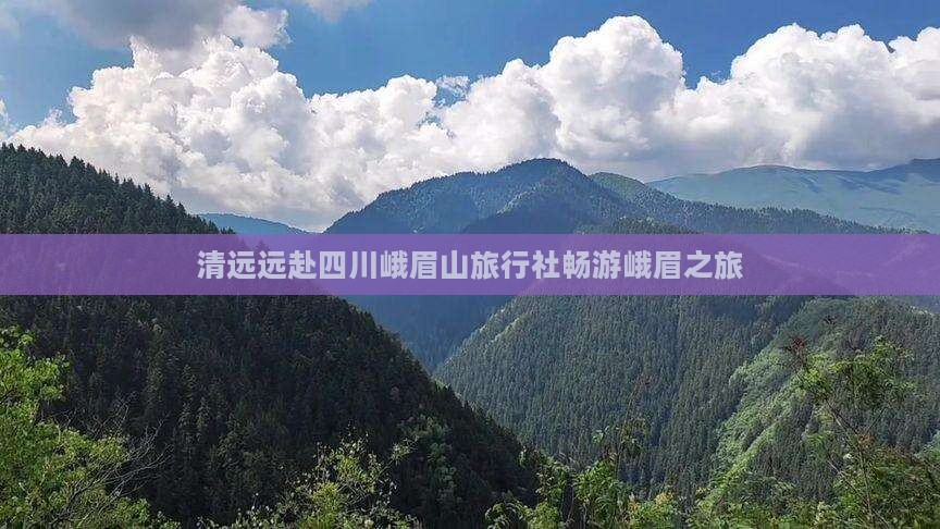 清远远赴四川峨眉山旅行社畅游峨眉之旅