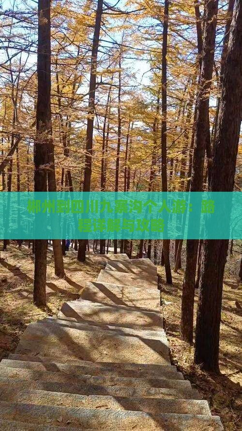 郴州到四川九寨沟个人游：路程详解与攻略