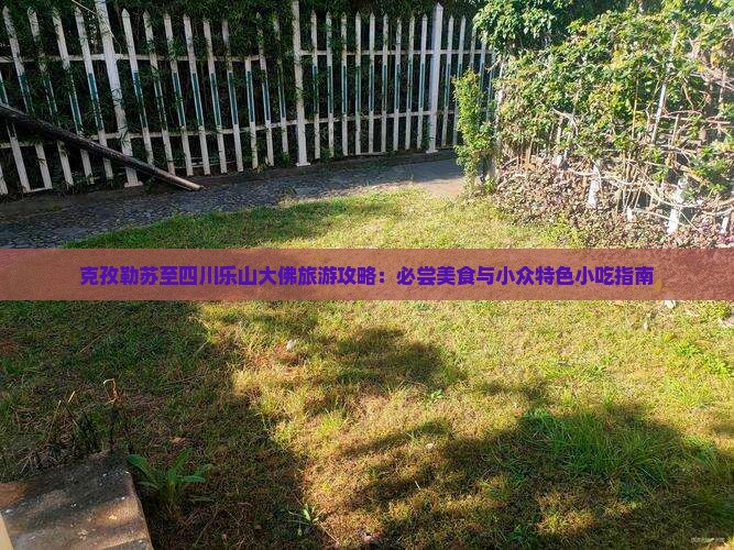 克孜勒苏至四川乐山大佛旅游攻略：必尝美食与小众特色小吃指南