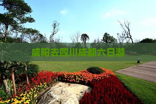 咸阳去四川成都六日游