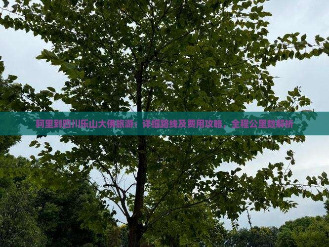 阿里到四川乐山大佛旅游：详细路线及费用攻略，全程公里数解析
