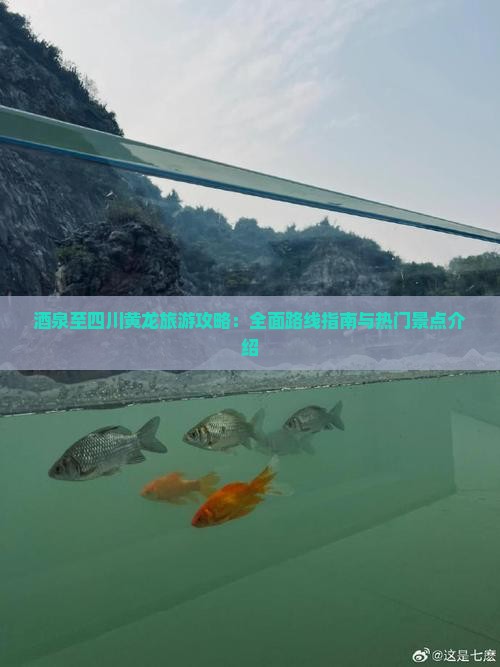 酒泉至四川黄龙旅游攻略：全面路线指南与热门景点介绍