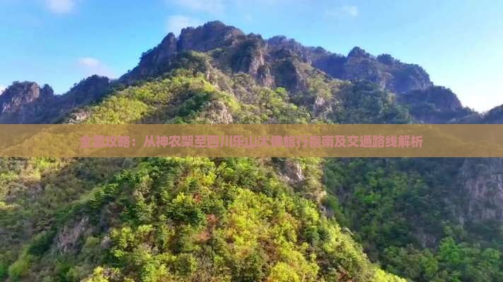 全面攻略：从神农架至四川乐山大佛旅行指南及交通路线解析