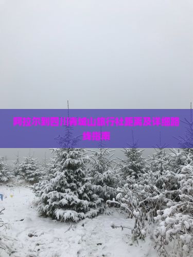 阿拉尔到四川青城山旅行社距离及详细路线指南