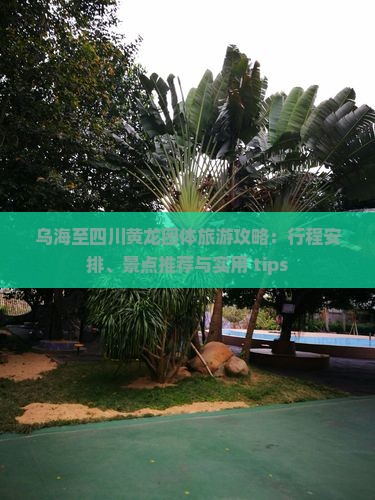 乌海至四川黄龙团体旅游攻略：行程安排、景点推荐与实用 tips