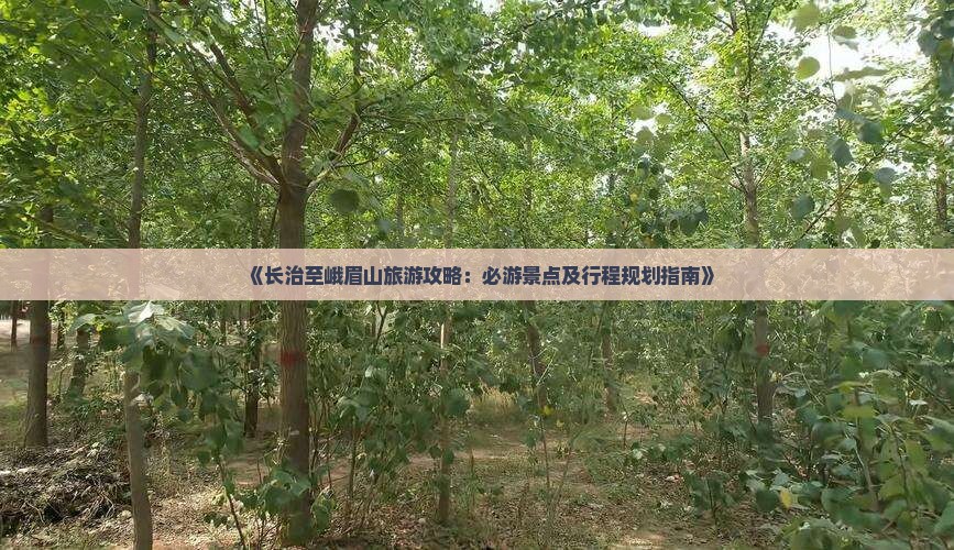 《长治至峨眉山旅游攻略：必游景点及行程规划指南》
