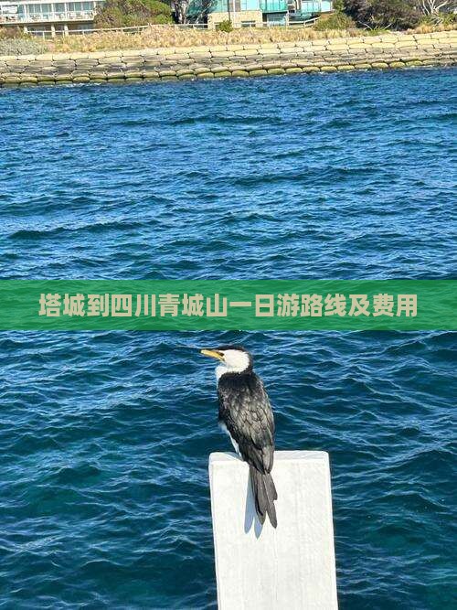 塔城到四川青城山一日游路线及费用