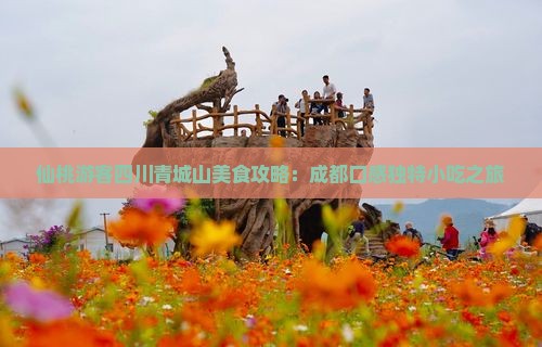 仙桃游客四川青城山美食攻略：成都口感独特小吃之旅
