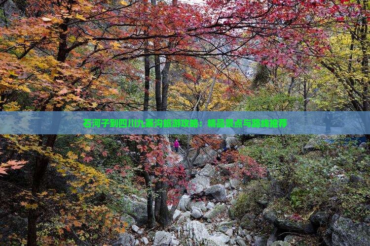 石河子到四川九寨沟旅游攻略：精品景点与路线推荐