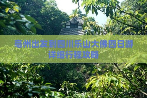 亳州出发到四川乐山大佛四日游详细行程攻略