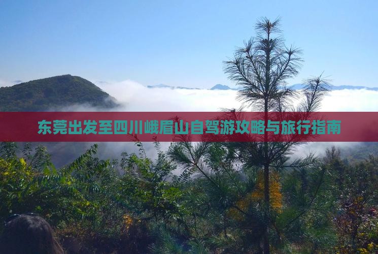 东莞出发至四川峨眉山自驾游攻略与旅行指南