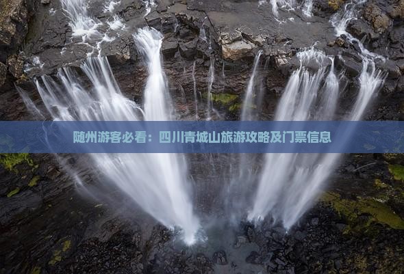 随州游客必看：四川青城山旅游攻略及门票信息