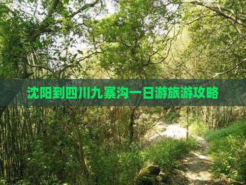 沈阳到四川九寨沟一日游旅游攻略