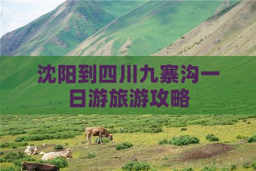 沈阳到四川九寨沟一日游旅游攻略