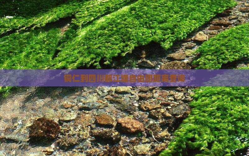 铜仁到四川都江堰自由团距离查询